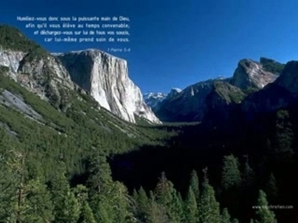 laurent frores - Comme david