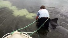 DOLPHIN RESCUE