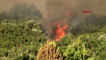 İZMİR Urla'da orman yangını çıktı -5