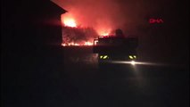İzmir Karabağlar'daki orman yangını Yukarı Orhanlı Köyü'ne sıçradı
