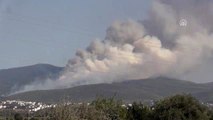 Muğla'daki orman yangınları devam ediyor