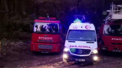 Bodrum'daki orman yangını devam ediyor - MUĞLA