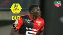 But Mbaye NIANG (44ème) / Stade Rennais FC - Paris Saint-Germain - (2-1) - (SRFC-PARIS) / 2019-20
