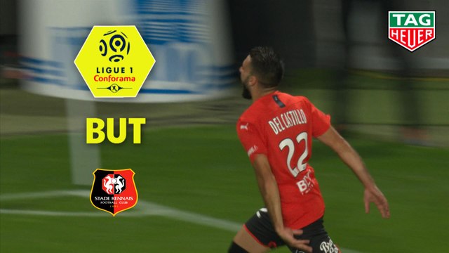 But Romain DEL CASTILLO (48ème) / Stade Rennais FC - Paris Saint-Germain - (2-1) - (SRFC-PARIS) / 2019-20