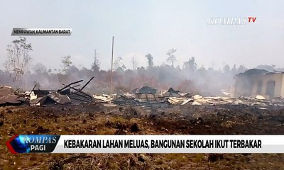 Kebakaran Lahan di Mempawah Meluas, Bangunan Sekolah Ikut Terbakar