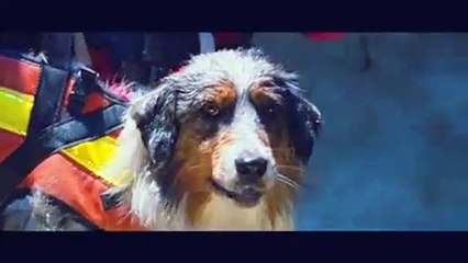 유성지구출장안마 -후불100%ョOiOE7685E6221｛카톡PP888｝ 유성지구전지역출장안마 유성지구오피걸 유성지구출장마사지 유성지구출장안마 유성지구출장마사지 유성지구콜걸샵안마 유성지구출장아로마 유성지구출장안마후기∧≜ぞ유성지구퇴ㅍㅖ업소강추