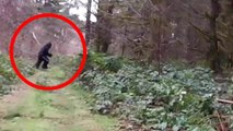 10 Real Bigfoot Sightings Caught on Tape