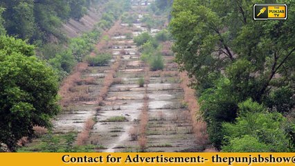 ਭਗਵੰਤ ਮਾਨ ਨੇ ਖੋਲੇ ਕੱਚੇ ਚਿੱਠੇ Bhagwant Mann trying to expose Badal family and Captain Amrinder Singh