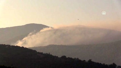 Muğla'daki orman yangınları