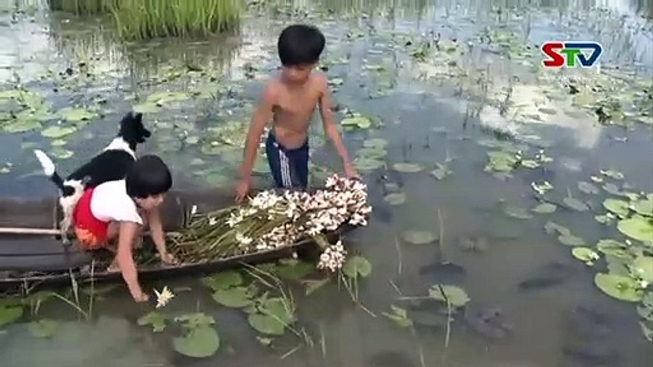 Mùa Con Nước Lên Đồng-Ký Ức Miền Tây