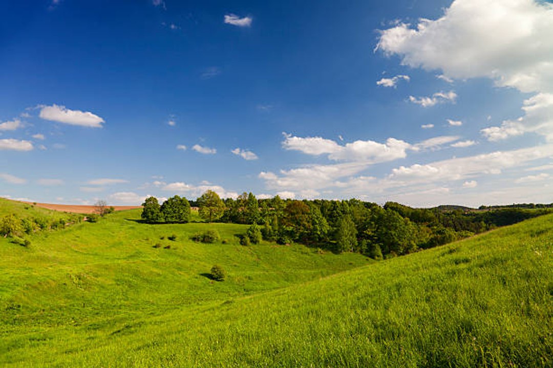 Deutschland und seine Regionen: Thüringen