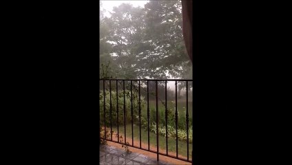Coup de vent et fortes pluie à Charnay les Mâcon filmés par une internaute