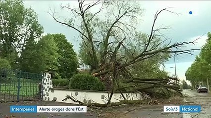 Orages : la grêle fait des dégâts dans le Rhône