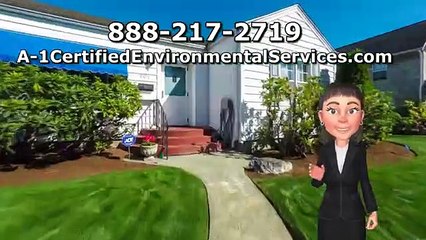 Black Mold Testing Norwalk