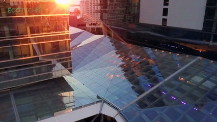 Interview with Steve Owens