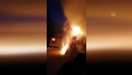 Besicinin 900 bağ otu yangında kül oldu - AĞRI