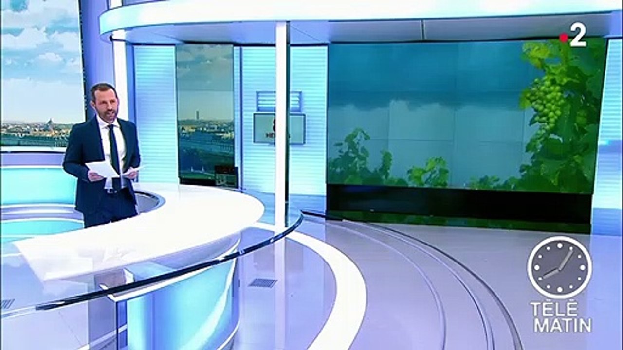 Notre-Dame : les travaux de consolidation redémarrent