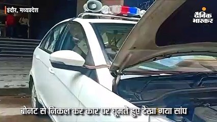 एसपी की कार में घुसा सांप, पुलिसकर्मियों ने डंडा फटकारते हुए निकाला बाहर