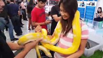 Shoppers Hold A Corn Snake