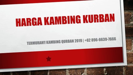 PROMO!! +62 822-2647-4434 | Harga kambing Kurban