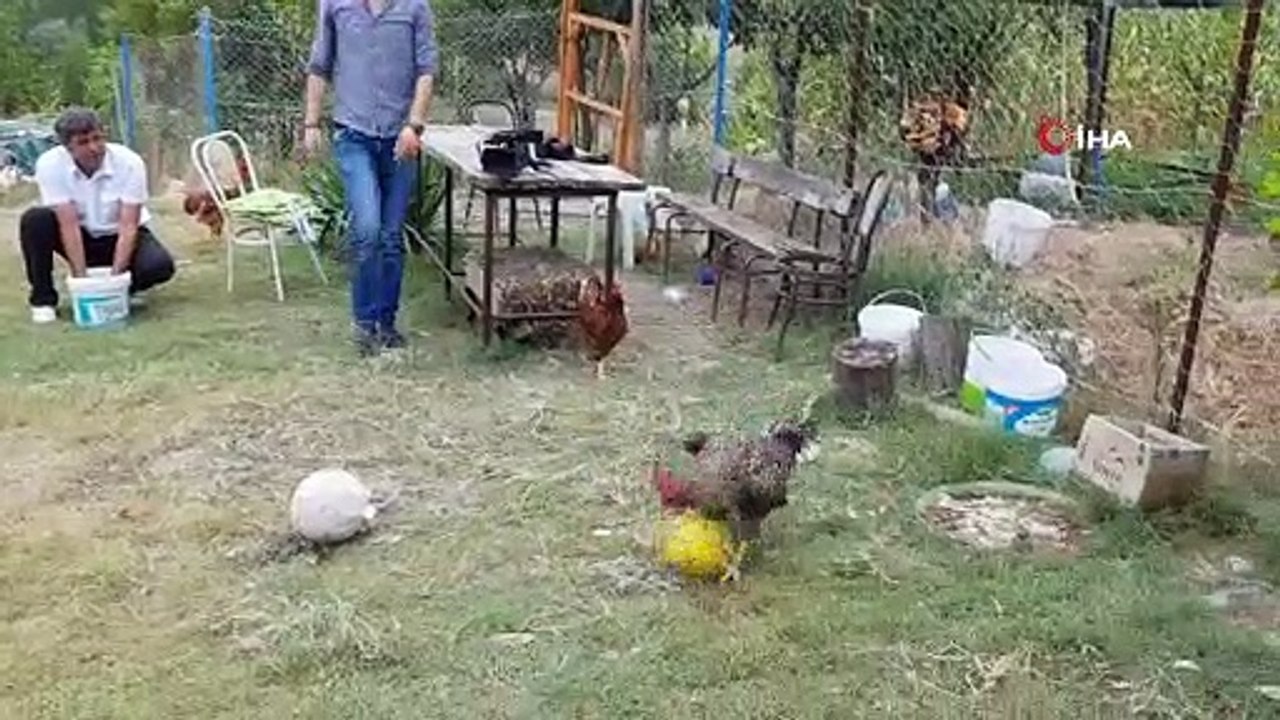 'Herkes futbol tutkunu olabilir', işte futbol o...