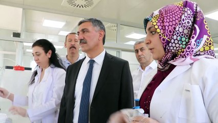 Nesli tükenmekte olan bitkiler laboratuvarda yetiştiriliyor - ELAZIĞ