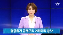 멸종위기 금개구리 2백 마리, 국립생태원에 방사