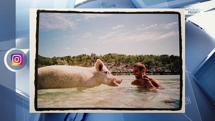 Paul Walker : Sa fille Meadow dévoile une photo inédite de l’acteur décédé