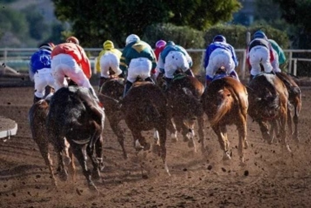 Favorite/underdog: which to bet on?