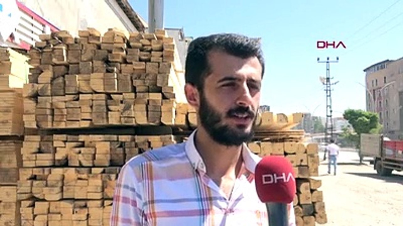 Kahverengi kedi Van kedisi doğurdu