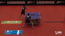 Stefan Fegerl vs Shang Kun (TTBL Selected)