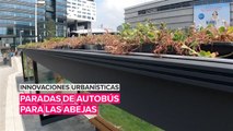 Innovaciones urbanísticas: Paradas para las abejas