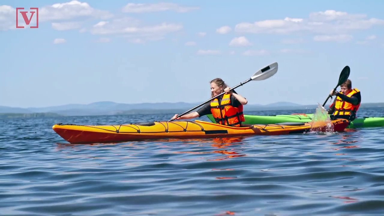 Shark Eye Stickers, Wetsuit Stripes & Methods People Are Using to Lower Their Risk of a Shark Attack