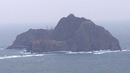 국방부 "독도 훈련 시기·규모 검토 중" / YTN