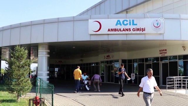 Afgan Çoban ayı saldırısına uğradı - BİNGÖL