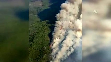 "Milas ve Bodrum'daki yangınlar kısmen kontrol altında"