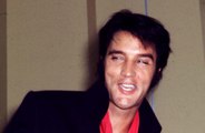 Netflix is bringing out an animated spy series about Elvis!