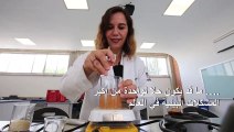 هل يحل صبّار المكسيك مشكلة البلاستيك في العالم؟