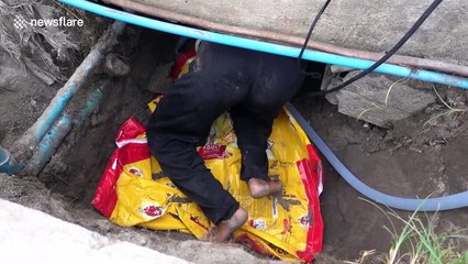 Brave rescuers wade through filthy Thai sewer to catch python terrorising homes
