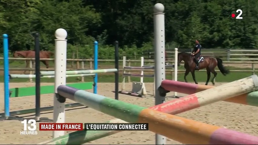 Innovation : une selle de cheval connectée made in France - Vidéo  Dailymotion