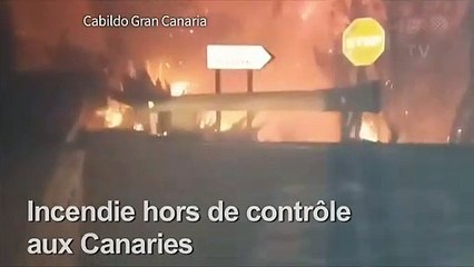 "Drame environnemental" à Grande Canarie, ravagée par le feu