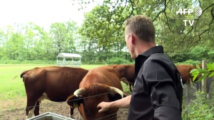 Fazendas compartilhadas contra mudança climática