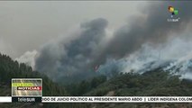 Evacúan a 5,000 personas de Gran Canaria por incendio forestal
