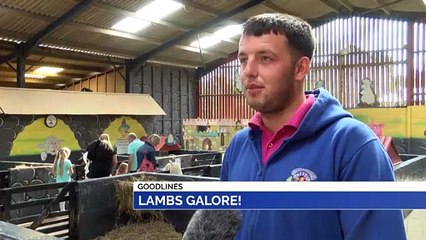 GOODLINES: 20th August 2019