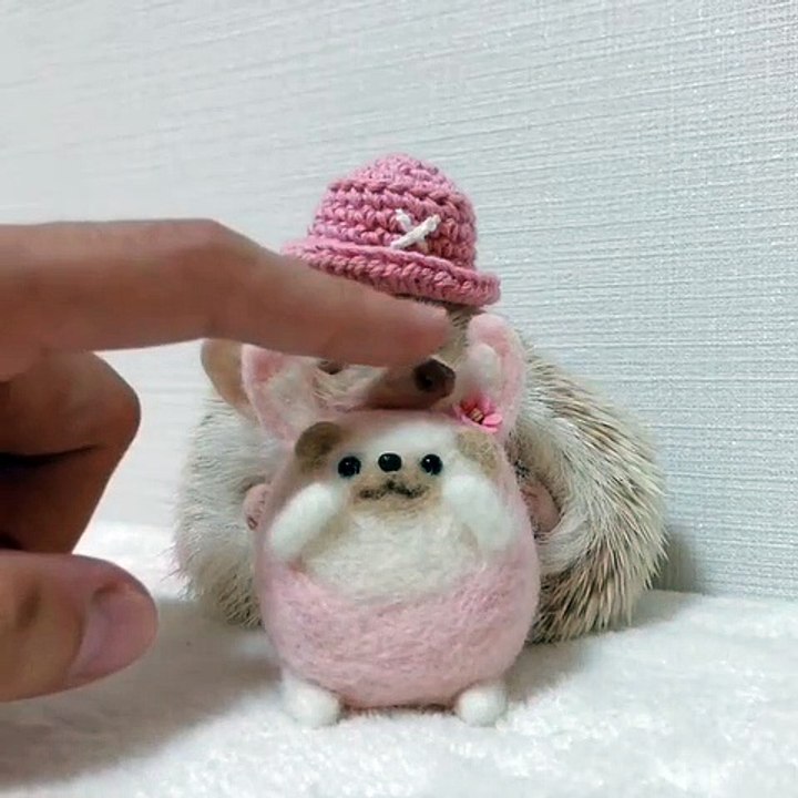 Cet hérisson est très mignon avec sa peluche. Adorable !