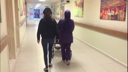 Bahçeye çıkan kadını sarmaşıkların arasından çıkan yılan soktu