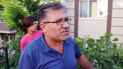 Hamakta sallanan çocuğun üzerine otomobil düştü
