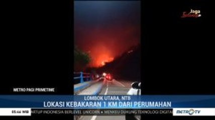 Bukit Nipah Lombok Utara Terbakar