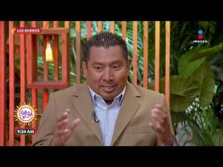 Origen, características y funciones de los burros | Sale el Sol