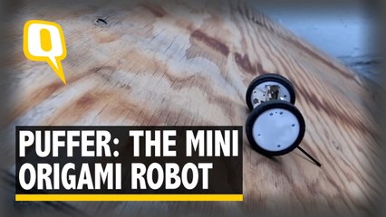 PUFFER: NASA’s Origami Robot That May Be Sent to Mars